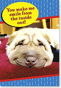 SMILEY DOG WITH WRINKLY FACE