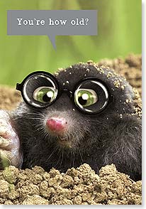 MOLE WEARING FUNNY GLASSES