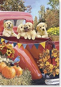 Four golden lab puppies in bed of old truck