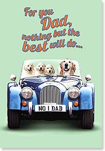 GROWN RETRIEVER DRIVING CAR WITH PUPPIES