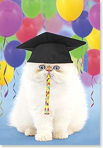 CAT WITH NOISE MAKER & GRADUATION CAP