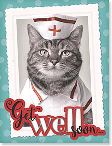 Photo of cat wearing nurses uniform