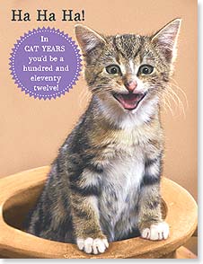 Funny photo of kitten with mouth open