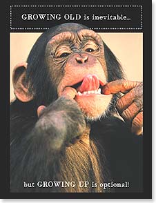 Photo of chimpanzee sticking out tongue