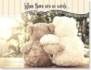 Dark and light teddy bear hugging