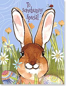 BUNNY FACE STICKING OUT OF TALL GRASS