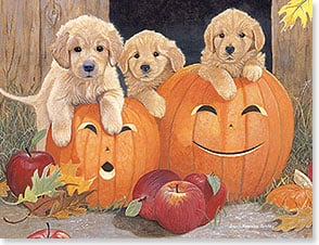 Three puppies on top of 2 jack o' lanterns