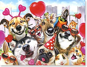 Cats and dogs making funny faces and wearing hearts
