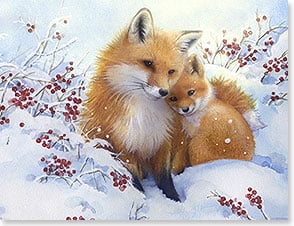 Fox snuggling with pup in the snow