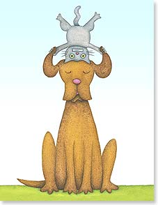 Cat standing head on top dogs heaed