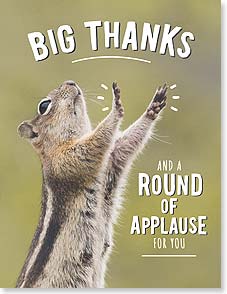 Chipmunk standing on hind legs and clapping